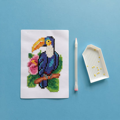 Tropical Flock