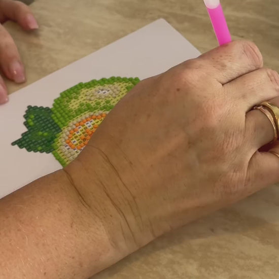 Fruit Punch diamond painting kit video