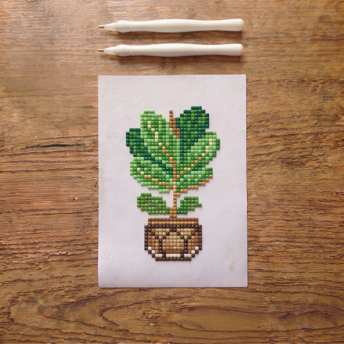Urban Jungle diamonds by numbers kit (houseplant) — photo 5